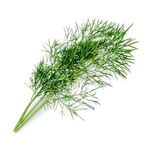 Lingot Dill - Organic