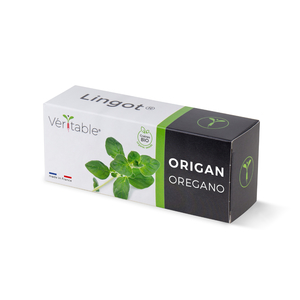 Lingot Oregano - Organic