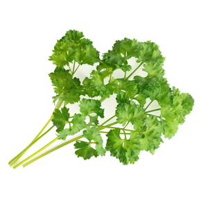 Lingot Curley Parsley - Organic