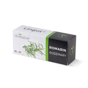 Lingot Rosemary